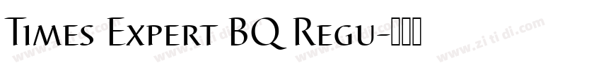 Times Expert BQ Regu字体转换